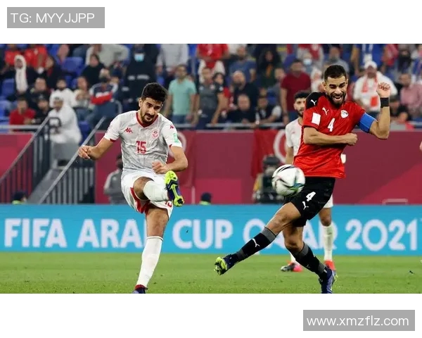 阿尔及利亚与尼日利亚精彩对决直播全程回顾与分析