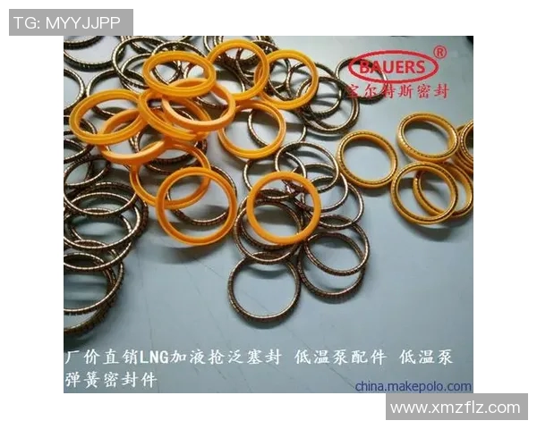 专业分析：LNG如何通过快速策略在市场中占据优势